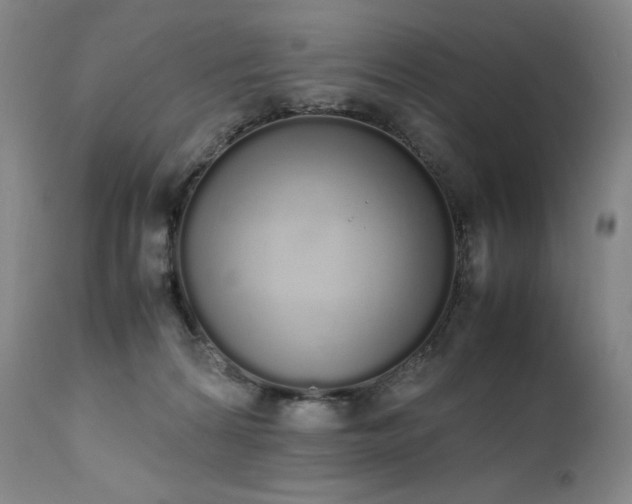 X0000111450224200907131336