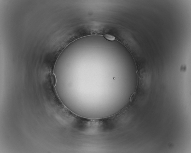 X0000111450225200907131336