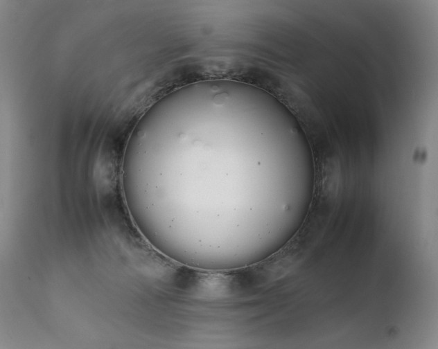X0000111450226200907131336