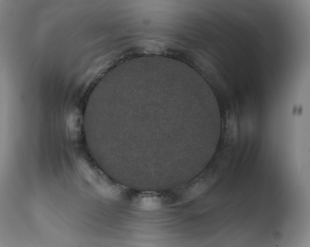 X0000111450228200907131336
