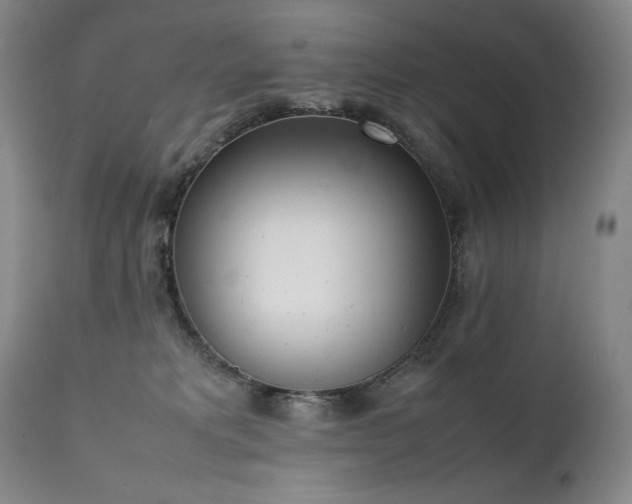 X0000111450229200907131336