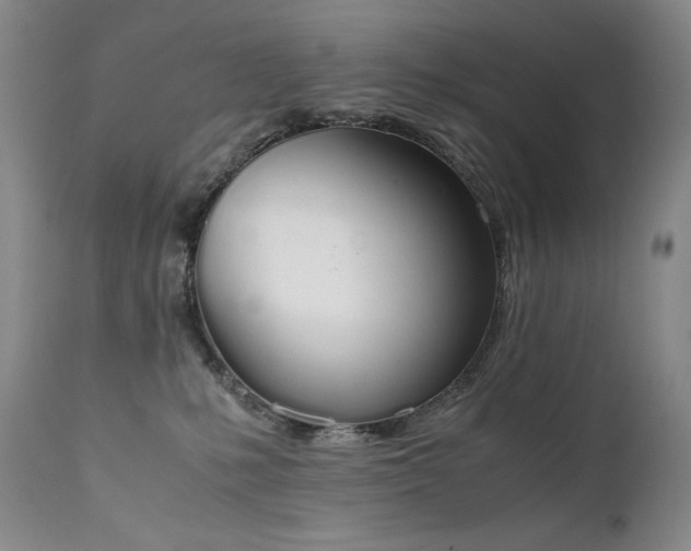 X0000111450231200907131336