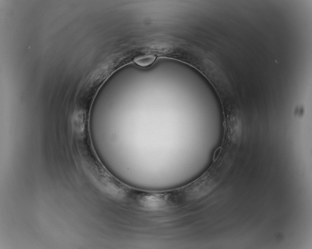 X0000111450232200907131336