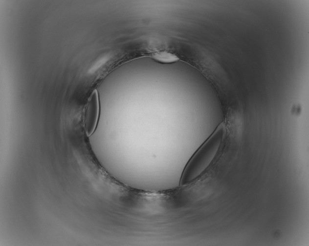 X0000111450233200907131336