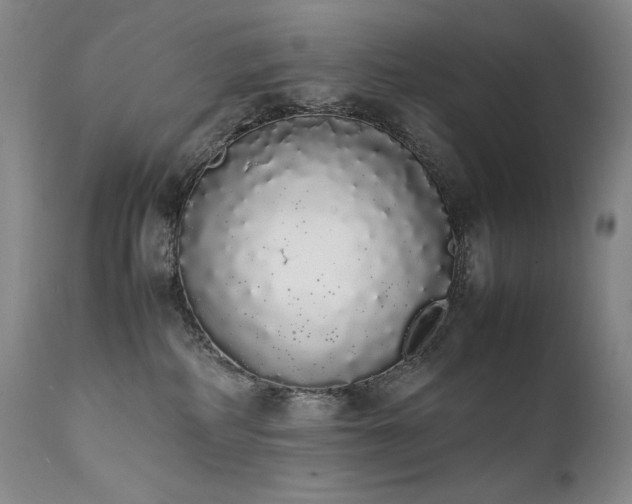 X0000111450234200907131336