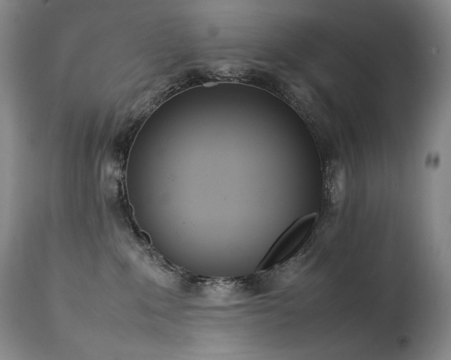 X0000111450235200907131336