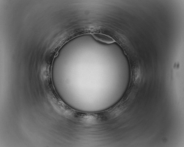 X0000111450236200907131336