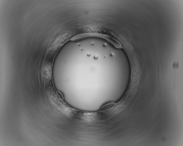 X0000111450240200907131336
