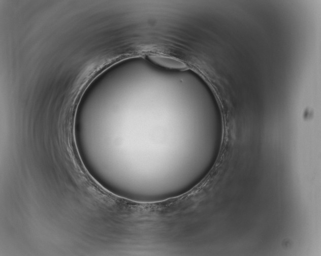 X0000111450241200907131336