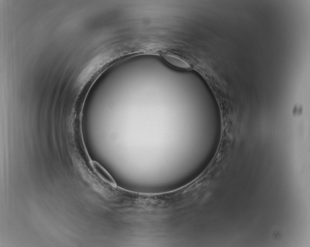 X0000111450242200907131336