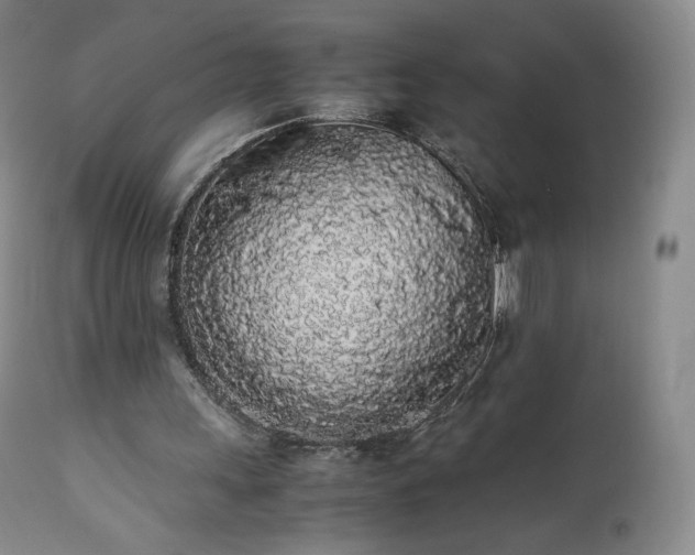 X0000111450243200907131336