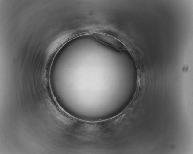 X0000111450245200907131336