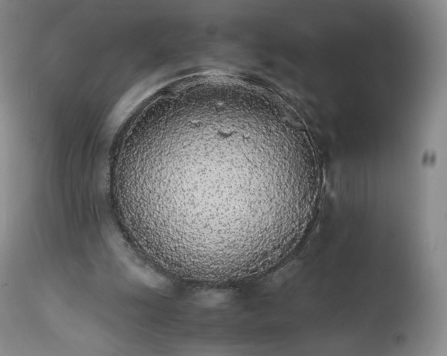 X0000111450247200907131336