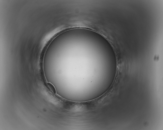 X0000111450248200907131336