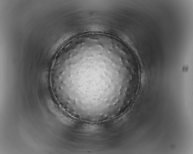 X0000111450249200907131336