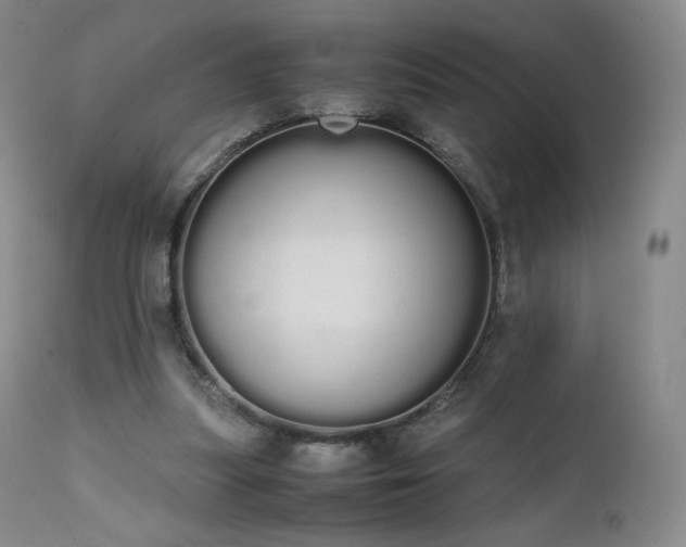 X0000111450251200907131336