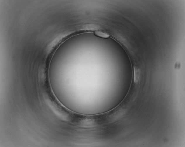 X0000111450252200907131336