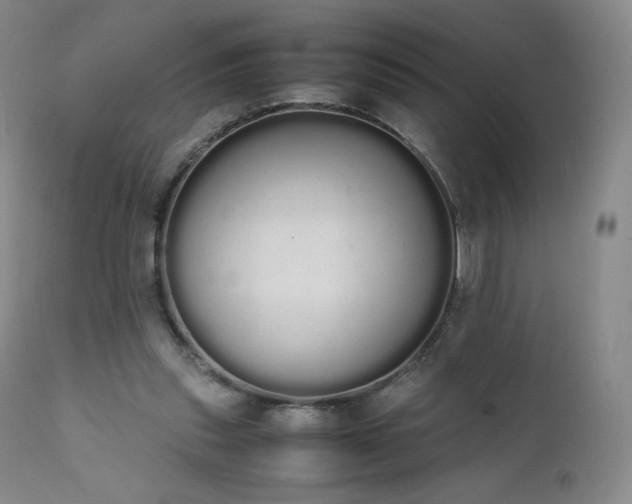 X0000111450253200907131336