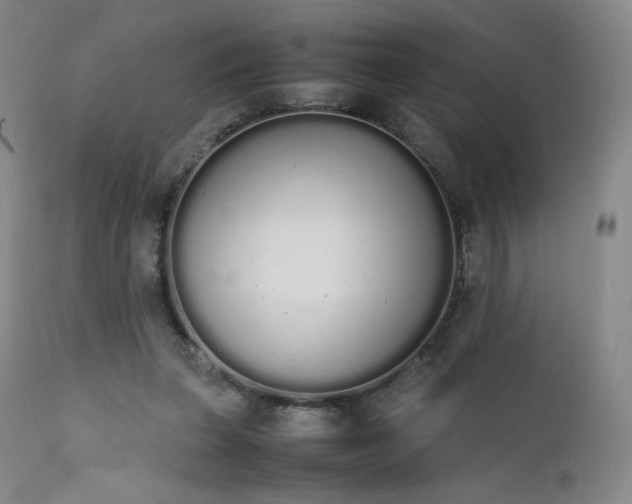 X0000111450255200907131336