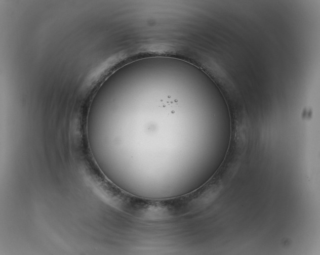 X0000111450256200907131336