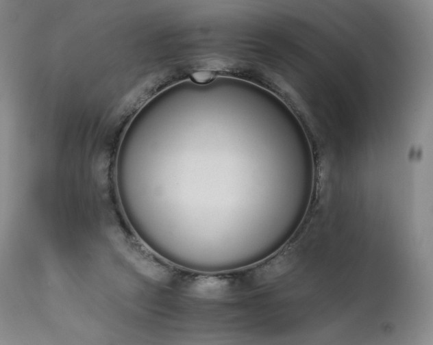 X0000111450257200907131336