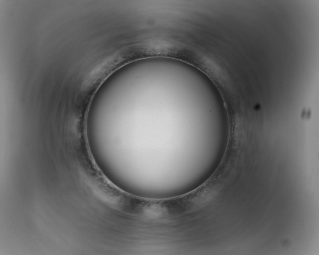 X0000111450258200907131336