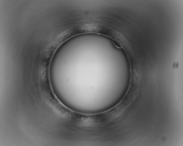 X0000111450259200907131336