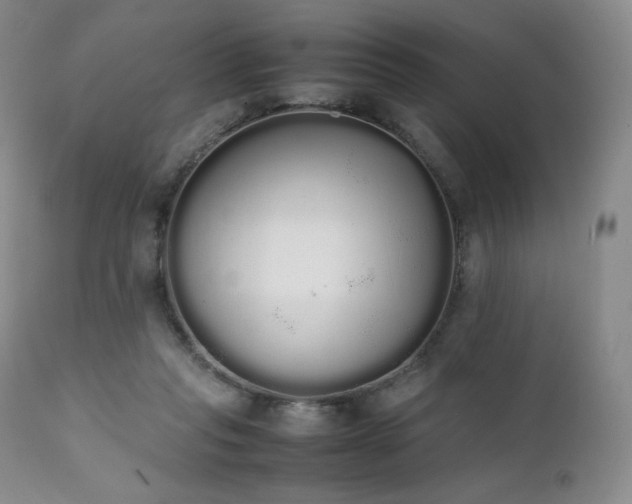 X0000111450261200907131336