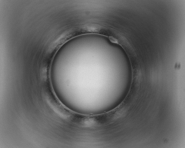 X0000111450262200907131336