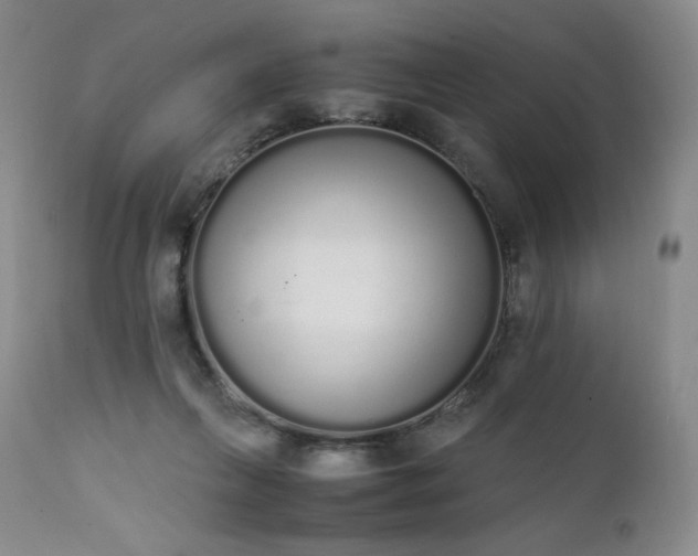 X0000111450263200907131336