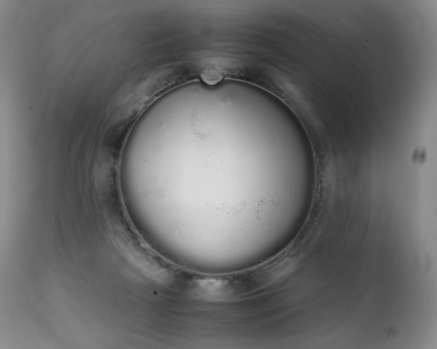 X0000111450265200907131336