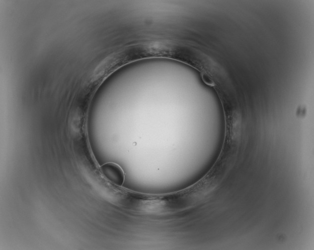 X0000111450266200907131336