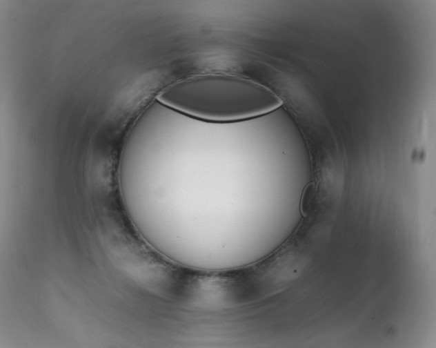 X0000111450268200907131336