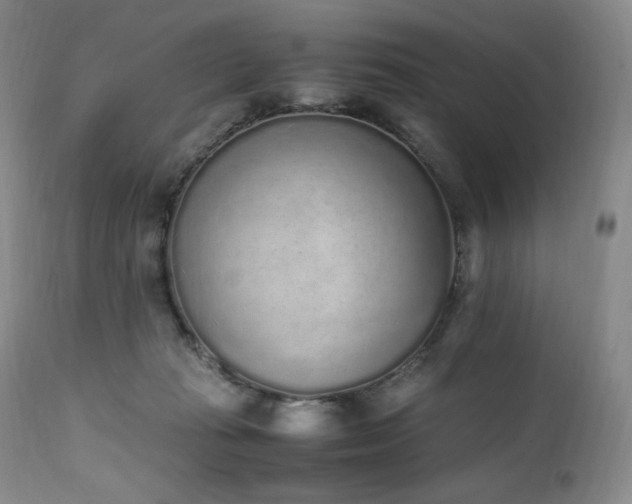 X0000111450269200907131336