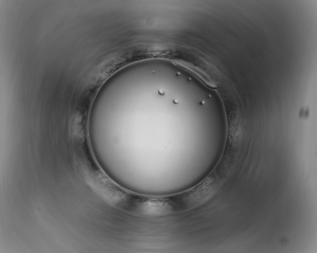 X0000111450270200907131336