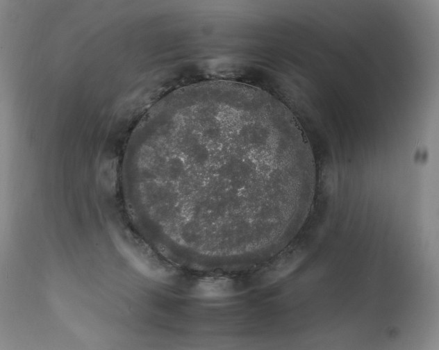 X0000111450271200907131336
