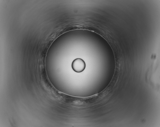 X0000111450272200907131336