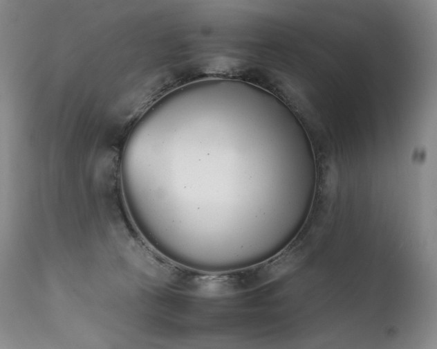 X0000111450273200907131336