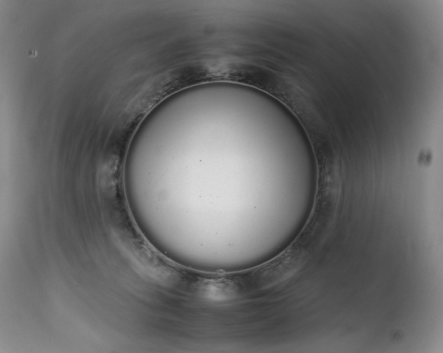 X0000111450275200907131336