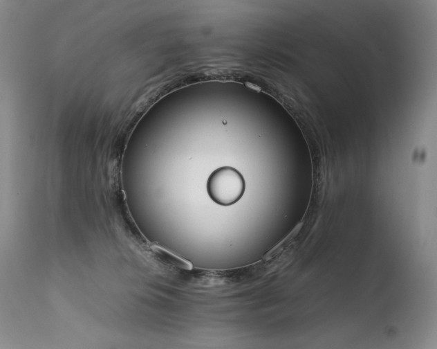 X0000111450276200907131336