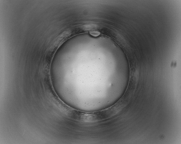 X0000111450277200907131336