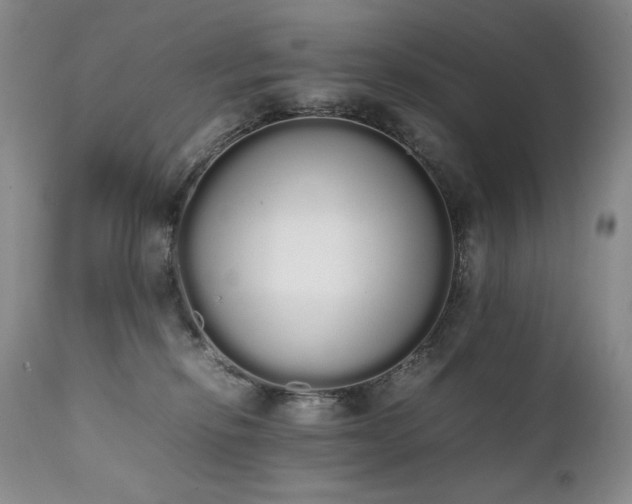 X0000111450278200907131336