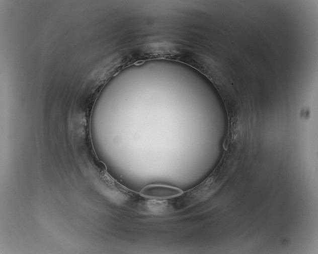 X0000111450279200907131336