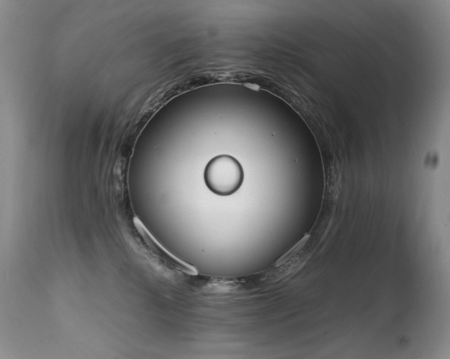 X0000111450280200907131336