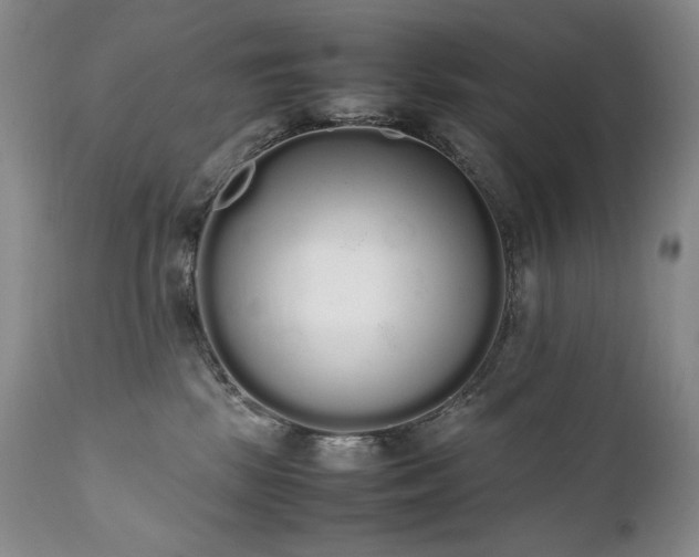 X0000111450281200907131336