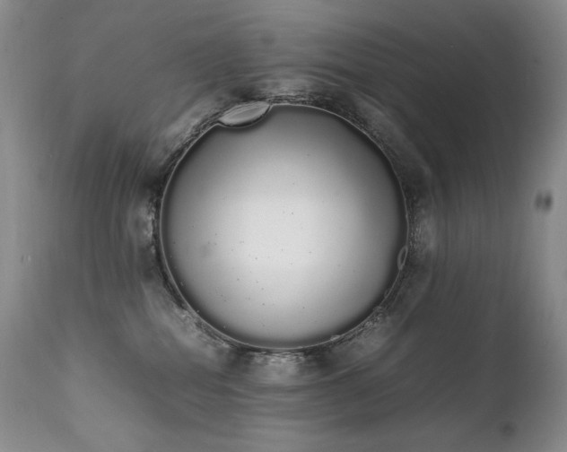 X0000111450282200907131336