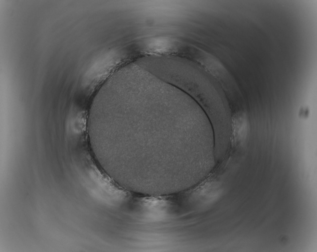X0000111450284200907131336
