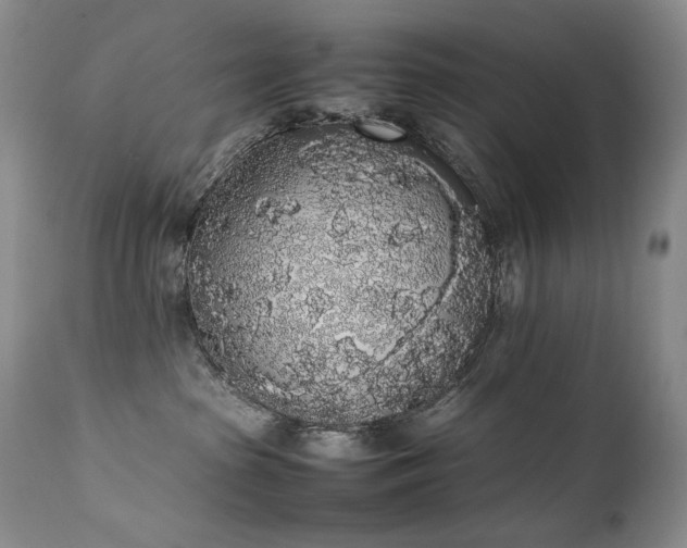 X0000111450285200907131336