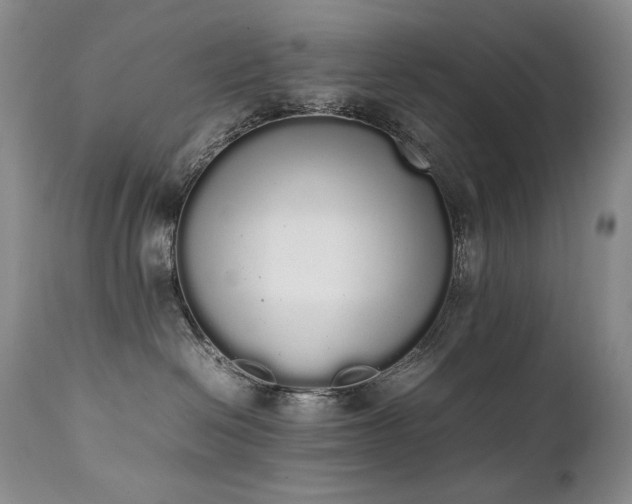X0000111450286200907131336