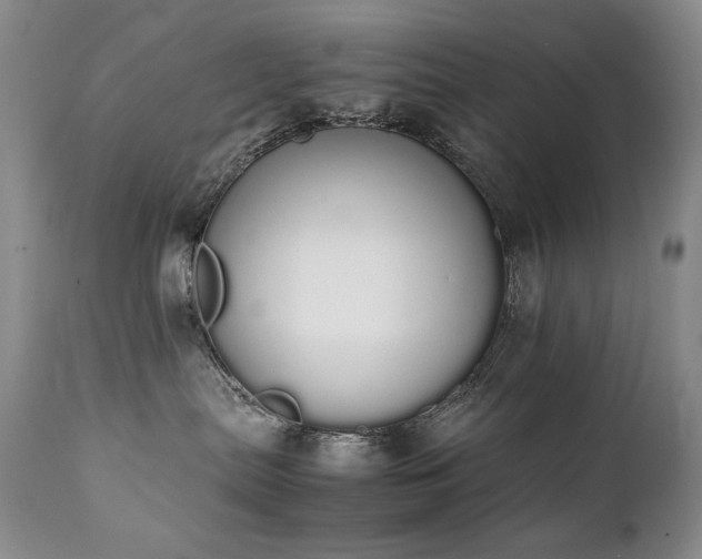 X0000111450287200907131336